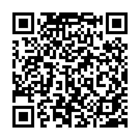 QR code for 913PPA