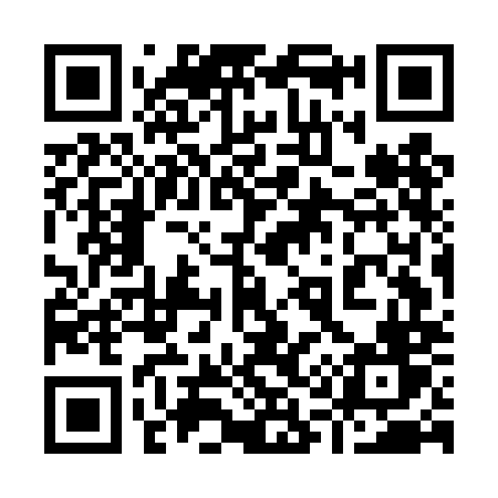 QR code for 917DMV