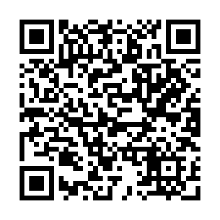QR code for 919CHF