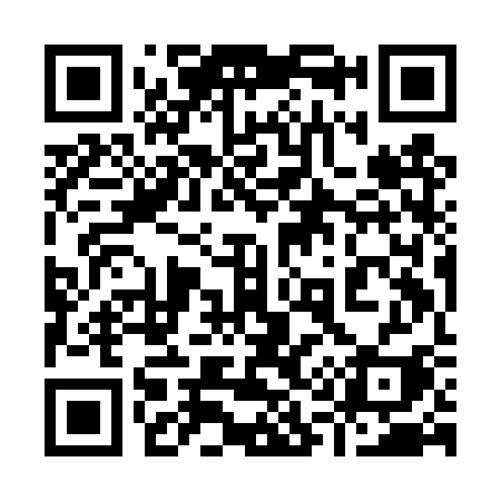 QR code for 919DSI