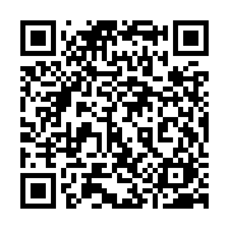 QR code for 919KRM
