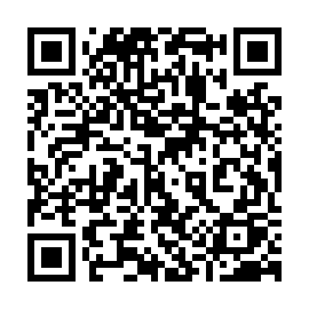 QR code for 919LWP