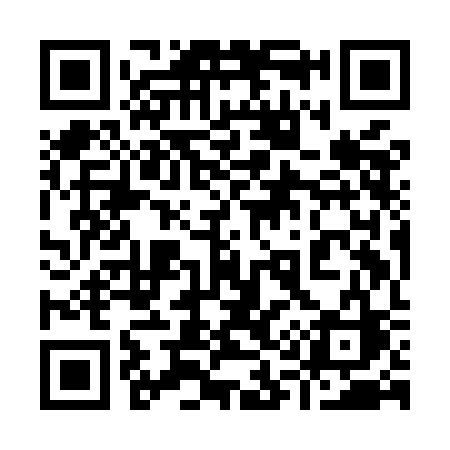 QR code for 919MCC