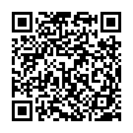 QR code for 919SDH