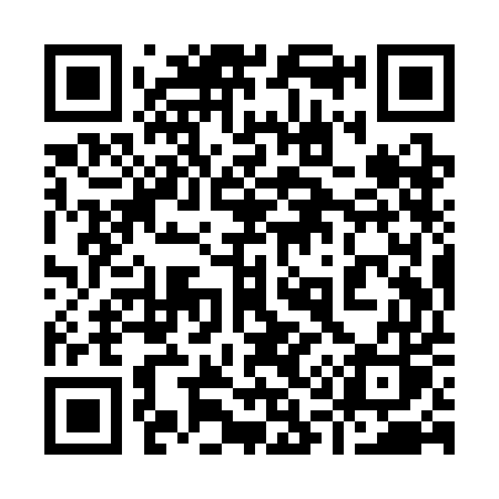QR code for 919SES