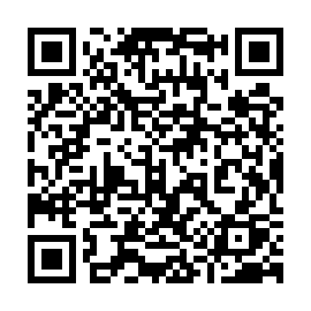 QR code for 919USP