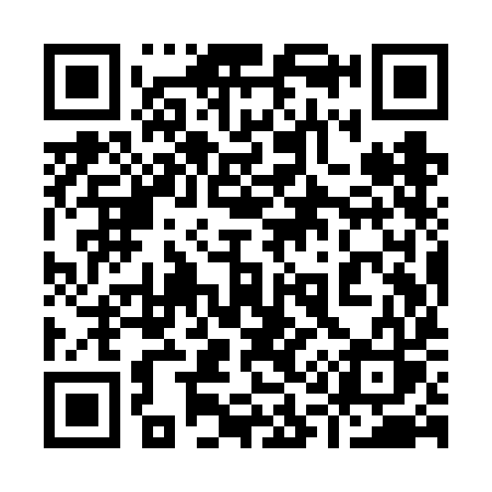 QR code for 919VIS