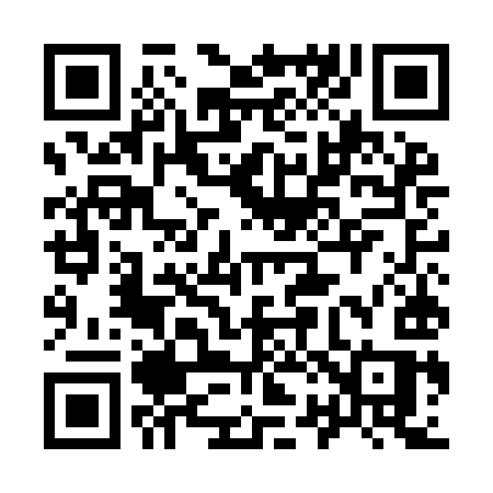 QR code for 925IIS