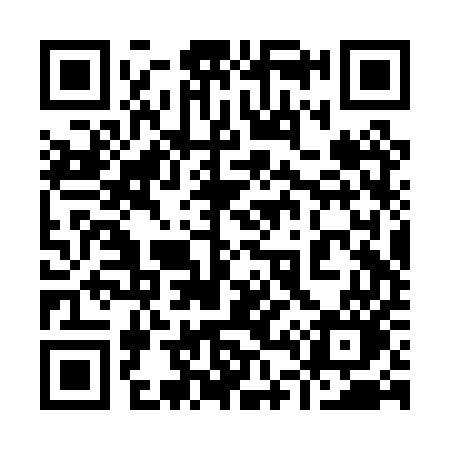 QR code for 942PUO