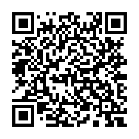 QR code for 950XYG