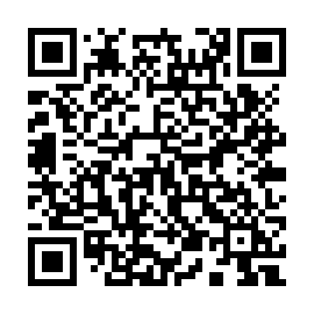 QR code for 951ZZI