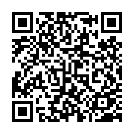 QR code for 953DPU