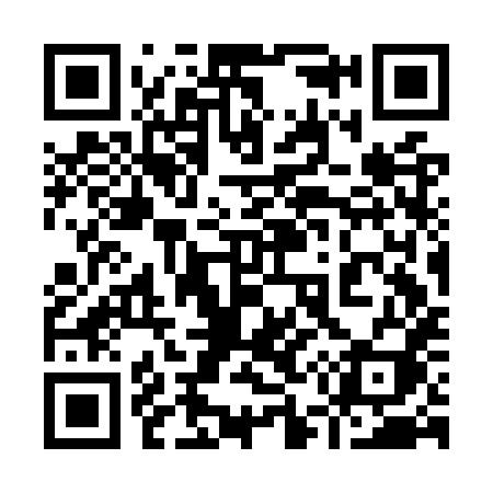 QR code for 953OXI