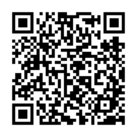 QR code for 953VLM