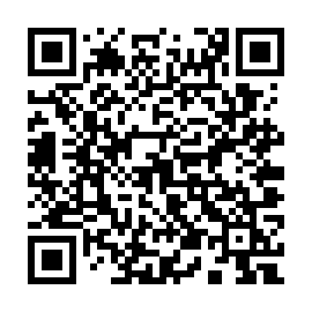 QR code for 954WOK