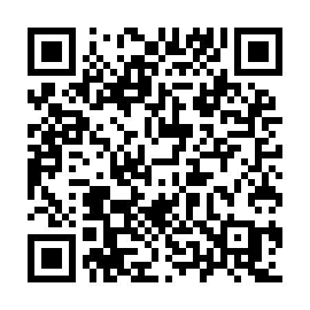 QR code for 955ICA