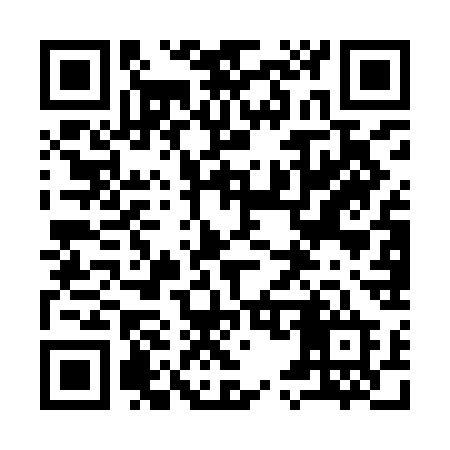 QR code for 955ICD