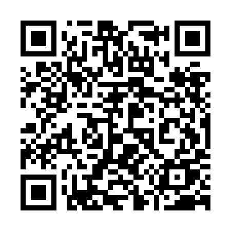 QR code for 955JIU