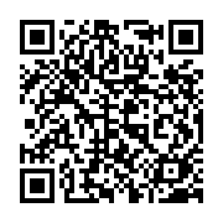 QR code for 955MAM