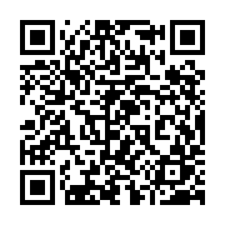 QR code for 955QIR