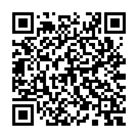 QR code for 955SPX