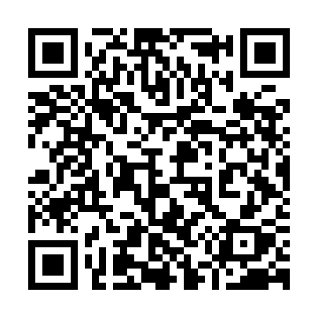 QR code for 956ICX