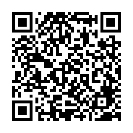 QR code for 966CTF