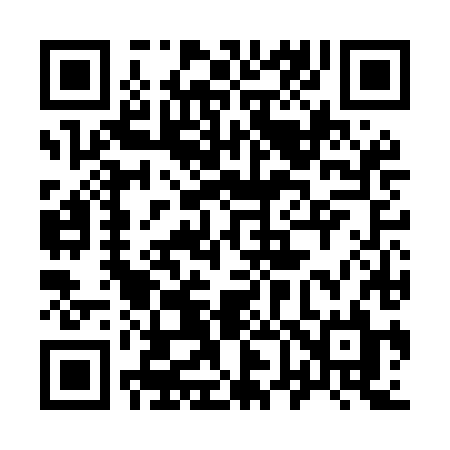 QR code for 966MHL