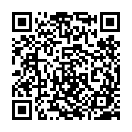 QR code for 991DDO