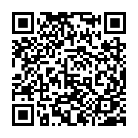 QR code for 991SUP