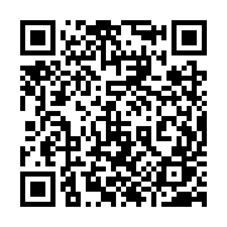 QR code for 991SUR
