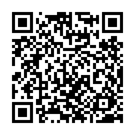 QR code for 991TBO