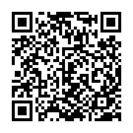 QR code for 991TXT
