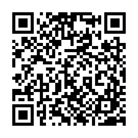 QR code for 993CTL