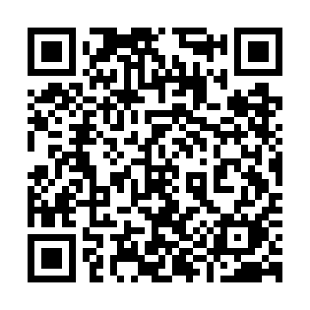 QR code for 993GAM