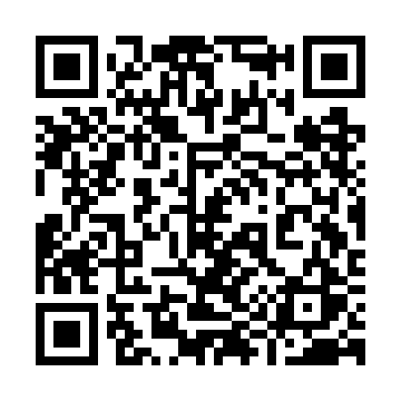 QR code for 993GBS