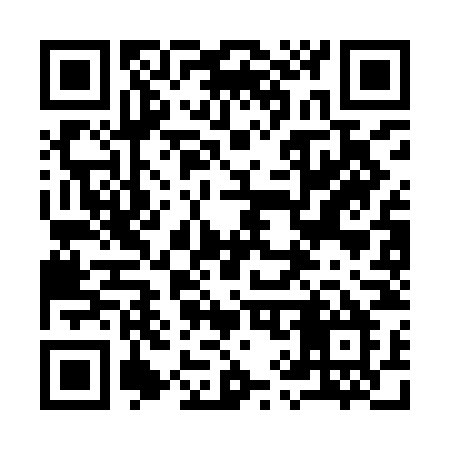 QR code for 993INM