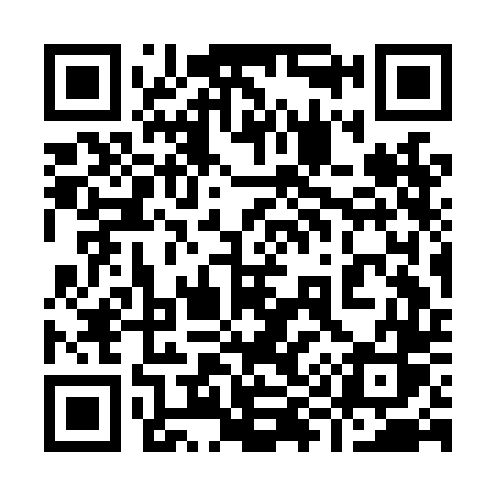QR code for 993LDS