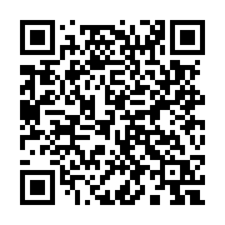 QR code for 993MSR