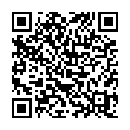 QR code for 993RFI