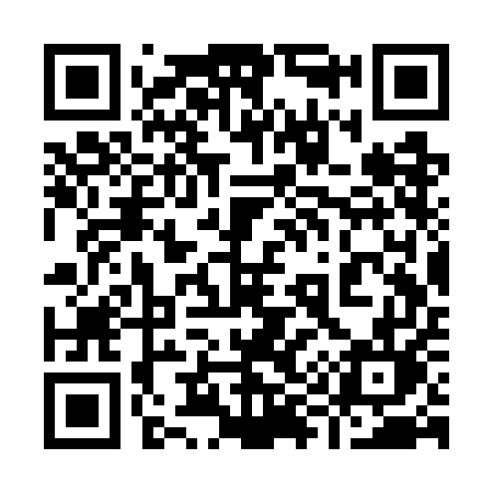 QR code for 993WEL