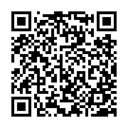 QR code for 993WMT
