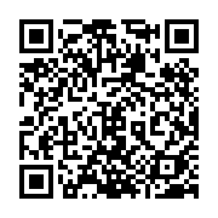 QR code for 994PAI