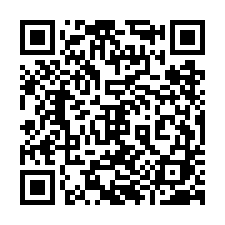 QR code for 995GDI