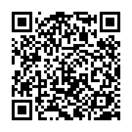 QR code for 996PGM