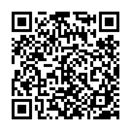 QR code for 996TIC