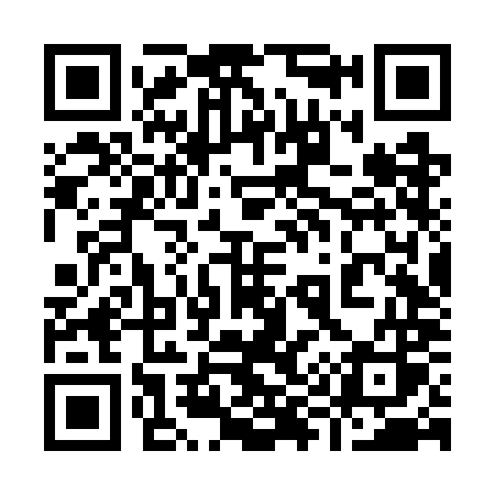 QR code for 996WMS