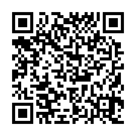 QR code for AAA335
