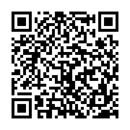 QR code for AAM336
