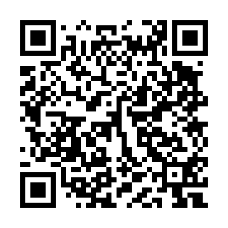 QR code for AAS410